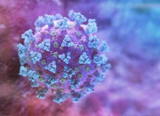 Covid-19: Mais 14 mortos, 427 infetados e 258 recuperados no país covid coronavirus covid-19 mascaras