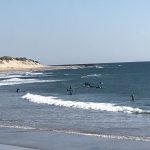 praia Ofir e Apulia (8)