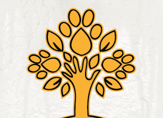 PAN BRAGA PROPÕE TUB GRATUITOS PARA UNIVERSITÁRIOS EM 2022