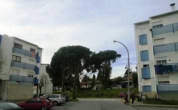 Mãe e filho detidos em megaoperação antidroga no Bairro das Enguardas