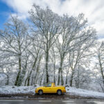 ´Neve (12)