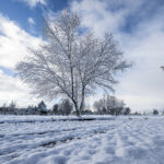 ´Neve (2)