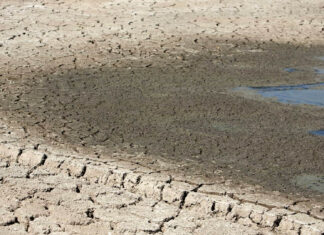 Perdas económicas ligadas à seca podem atingir 45 mil milhões por ano