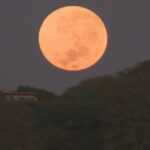Super lua