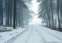 Atenção, Minho: IPMA emite aviso vermelho por queda de neve