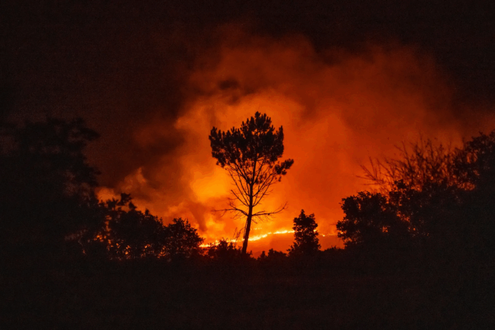 incêndio florestal