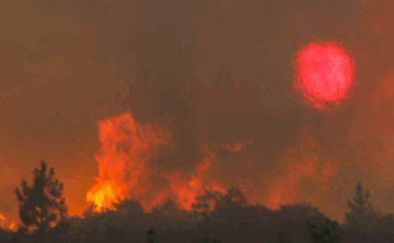 Mulher detida pela PJ por suspeita de atear incêndio florestal em Fafe com um isqueiro