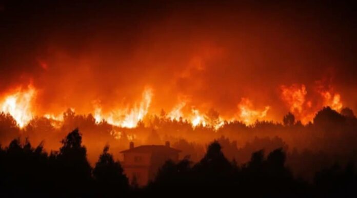 Incêndio (6)