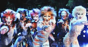CATS regressa a Portugal: o fenómeno que marcou a história do teatro musical