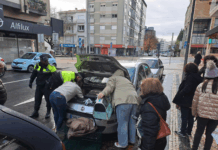 Gato foge ao frio, fica preso no motor de um carro em Braga e é salvo