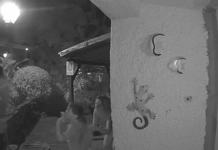 Bombeiro agressor da Madeira em liberdade após perdão da vítima