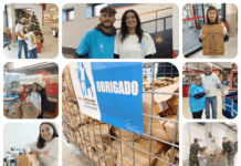 Banco Alimentar recolhe 168 toneladas de alimentos no distrito de Braga