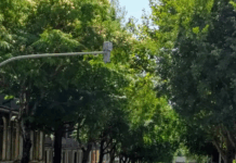 Avenida 31 de Janeiro volta a ter três sentidos ascendentes em Braga