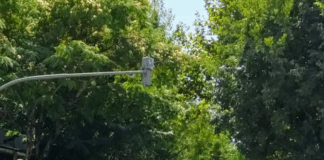 Avenida 31 de Janeiro volta a ter três sentidos ascendentes em Braga