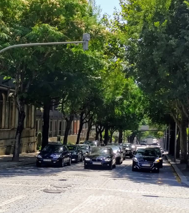 Avenida 31 de Janeiro