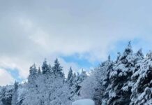 Neve continua a cair nas terras altas de Fafe e IPMA prolonga aviso amarelo