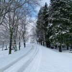 Inverno_Neve