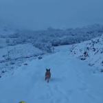 Inverno_Neve