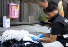 Fiscalização Ambiental da Vitrus registou 616 ocorrências em Guimarães em 2025