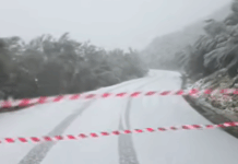 Alerta vermelho: neve corta acessos em Vieira do Minho