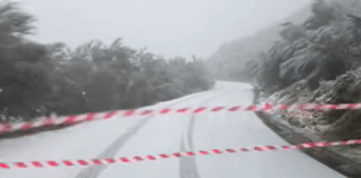 Alerta vermelho: neve corta acessos em Vieira do Minho