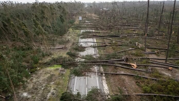 Tempestade Queda de Arvores
