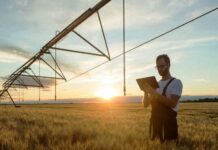 Novo Estudo da CONSULAI: Agricultura em Portugal Produz Mais com Menos Trabalhadores, Mas Enfrenta Falta de Talento e Envelhecimento