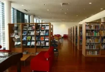 Biblioteca Municipal de Vieira do Minho recebe a primavera com 28 novas obras