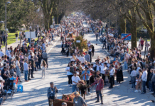 “Bois da Páscoa” enchem Arcos de Valdevez e celebram tradição ancestral