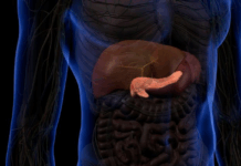 Cinco sinais silenciosos que podem alertar para doença grave no pâncreas