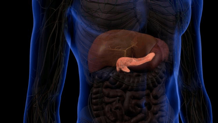 Doenças do Pâncreas