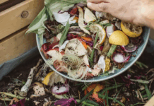 AGERE promove compostagem doméstica na AGRO em Braga