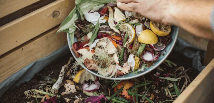 compostagem doméstica