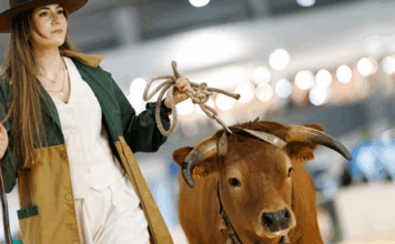 Dia da Galiza reforça ponte entre Braga e o norte de Espanha na AGRO