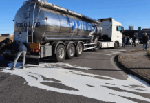 Agricultores galegos despejam 15 mil litros de leite de camião português em protesto