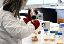 Famalicão capta 1,5 milhões para reforçar setor das carnes que emprega quase 3 mil pessoas