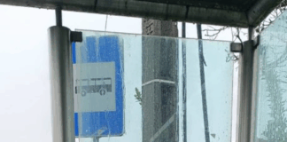 Paragem de autocarro vandalizada em Lamas. Junta lembra que pena pode chegar aos 5 anos de prisão