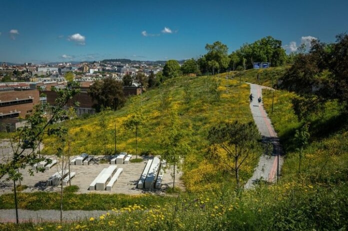 Oxigenar Braga Camélias Braga