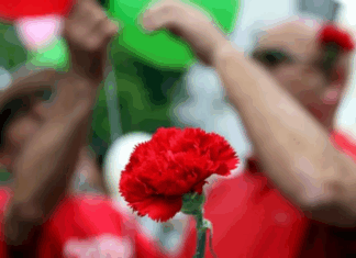 Guimarães celebra 50 anos da democracia com 37 iniciativas culturais dedicadas à liberdade