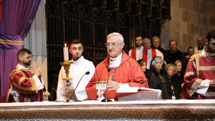 D. Andrés Carrascosa Coso