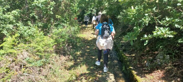 Levada do Poço Longo