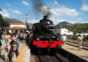 Comboio Histórico do Douro regressa em 2026 para viagens únicas no coração do vale