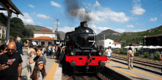 Comboio Histórico do Douro regressa em 2026 para viagens únicas no coração do vale