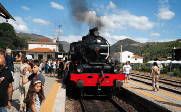 Comboio Histórico do Douro regressa em 2026 para viagens únicas no coração do vale