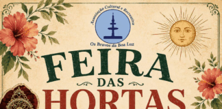 Feira de Velharias regressa ao Campo das Hortas em Braga este sábado