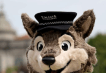 Brávia é a nova guardiã dos mais pequenos: Polícia Municipal de Braga apresenta mascote oficial