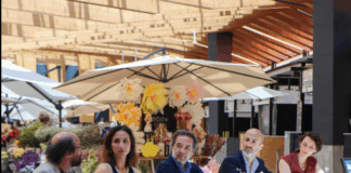 Moda Braga regressa ao Mercado Municipal com desfile de tendências Primavera/Verão 2026