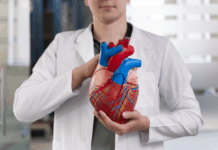Novo estudo reforça urgência de atuar cedo após enfarte e revela redução significativa do risco cardiovascular
