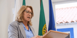 Nova Prestação Social Única prevê trabalho comunitário obrigatório e sanções por incumprimento