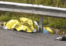 Homem morre atropelado por camião na A11 em Braga após parar para assistência a viatura avariada
